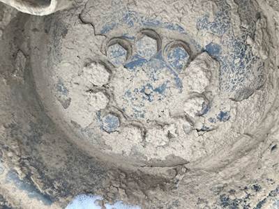 International 515 Rear Axle Assembly