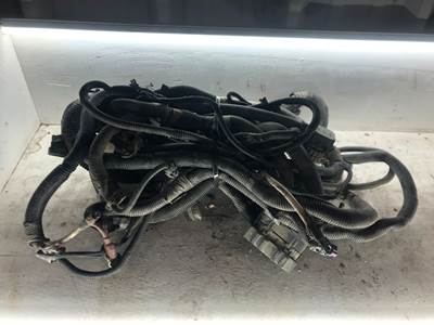 International DuraStar 4300 Cab Wiring Harness for a International Durastar (4300)