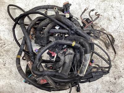 International DuraStar 4300 Cab Wiring Harness for a International Durastar (4300)