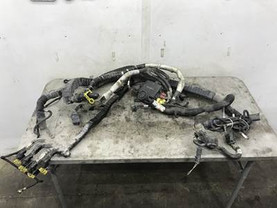 Peterbilt 587 Cab Wiring Harness