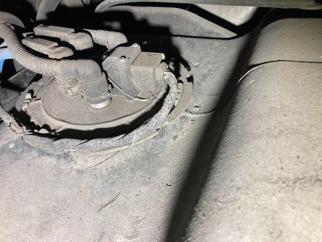 2022 Freightliner Cascadia DEF Sensor For Sale Sioux Falls, SD