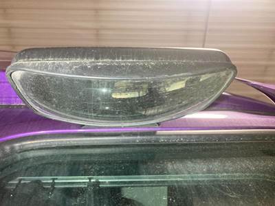 Freightliner Cascadia Door Mirror