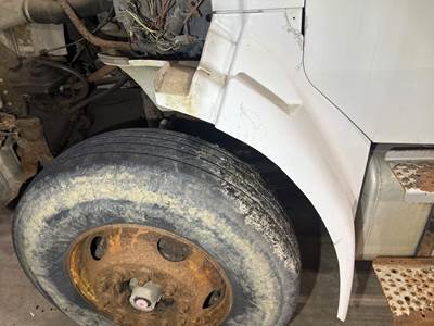 Sterling Acterra Fender