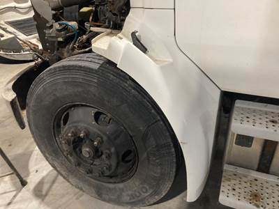 Sterling Acterra Fender