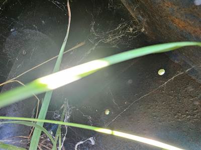 Genie S80U Hydraulic Cylinder