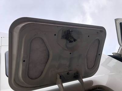 International ProStar Sleeper Door