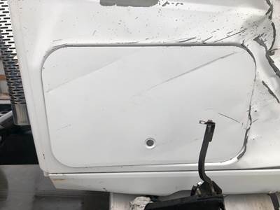 International ProStar Sleeper Door