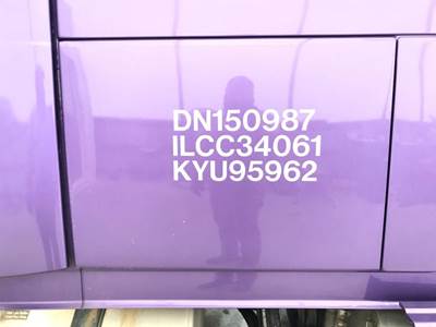 Volvo VNL Sleeper Door