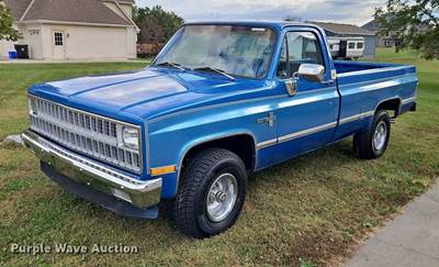 1981 Chevrolet Pickup Truck