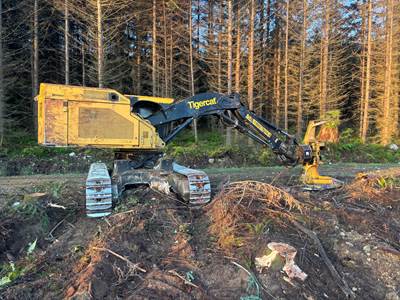 2020 Tigercat LX870D Feller Buncher