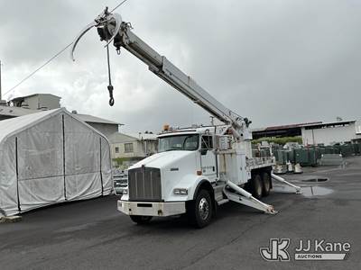 Altec D4065AT-TR, 30,000 Lb Derrick