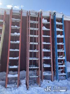 (2) Louisville 20 ft Fiberglass Extension Ladders