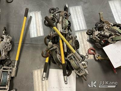 (5) little mule model 300 hoist