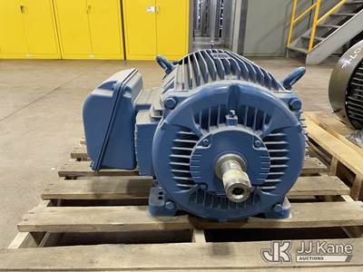WEG Motor