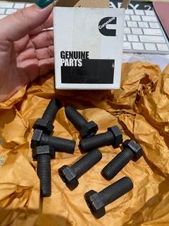 Cummins Screw