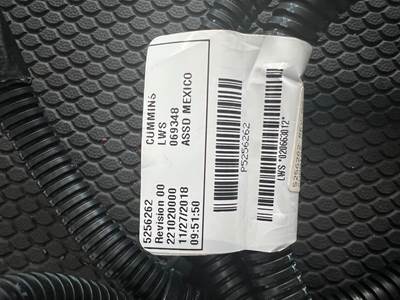 Cummins Wiring Harness For Sale | Hialeah, FL | 5256262 ...