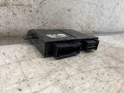 Used Western Star 57X LH Door Module