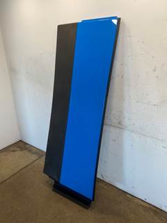 Used Freightliner Cascadia 126 RH Lower Cab Extension