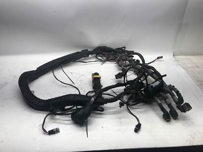 Used Peterbilt 389 used harness