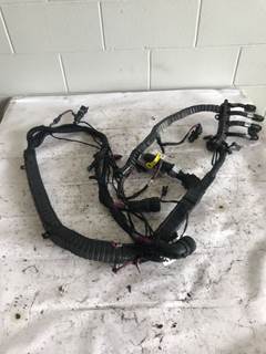 Used Peterbilt 389 used cab harness