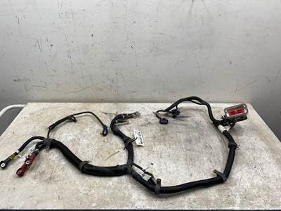Used Western Star 4900 Cab Harness