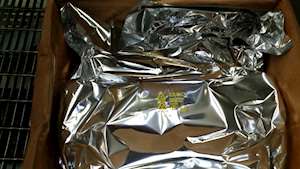 New International Maxxforce 13 EIM