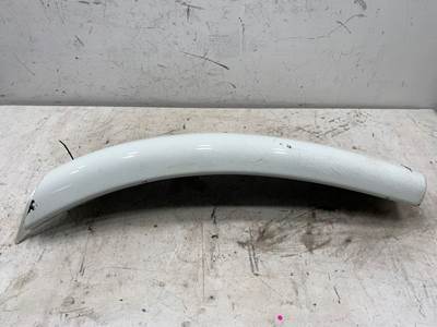 Used Freightliner Cascadia LH Fender Extension