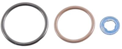 New Aftermarket International DT466 EGR DT466E EGR Injector Seals