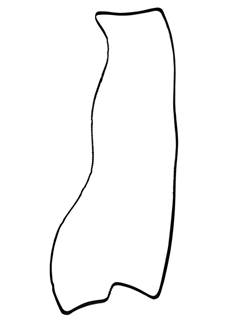 New International N13 Valve Cover Gasket