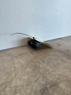 Used Peterbilt 579 Headlight Switch