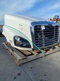 Used Freightliner Cascadia 125 Hood