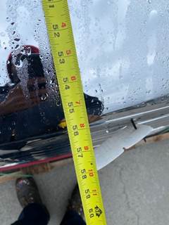 Used Freightliner Columbia 120 Hood