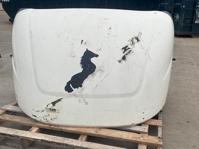 Used Freightliner Cascadia Cab Wind Deflector