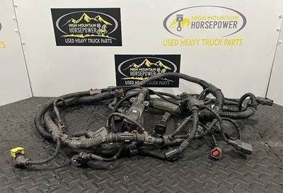 PACCAR Cummins Engine Wiring Harness P/Ns: 5291487 / P00426231AA / 5287624