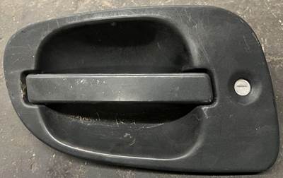 Freightliner Cascadia Left Front Door Assembly