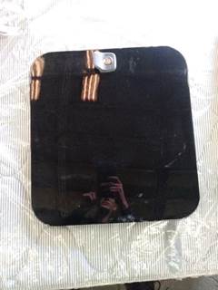 Peterbilt 579 Right Rear Door Assembly