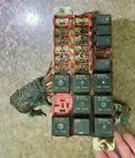 Peterbilt 386 Fuse Box