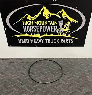 *NEW - Other/Not In Original Packaging*
CAT Seal O-Ring P/N: M-5E8771