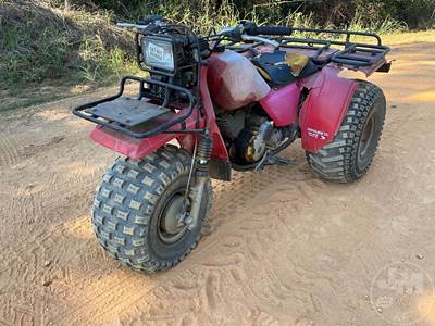Honda 250 ES Utility Vehicle