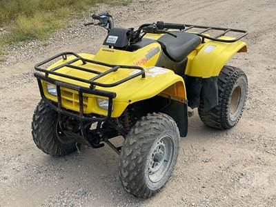 Honda RECON TRX250TM Utility Vehicle