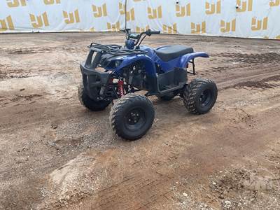TAOTAO ATA150-D Utility Vehicle