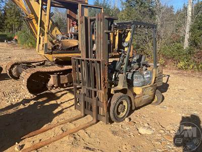 DP25 Cushion Tire Forklift