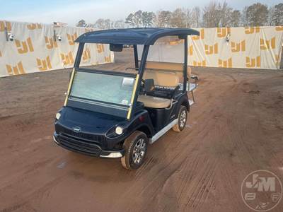 Golf Cart, Electric, Black, 4 Seat, Canopy, Lights, On Board Charger,