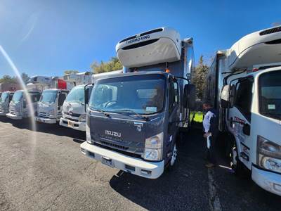Isuzu NQR 14 ft Refrigerated Truck - Automatic, Thermo King, Liftgate