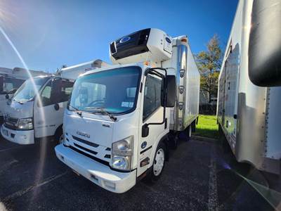 Isuzu NQR 14 ft Refrigerated Truck - Automatic, Carrier, Liftgate