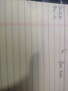 (GOOD USED) International 7.3L Push Rod 10 1/4" (SOLD INDIVIDUALLY)