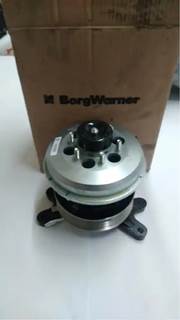 BorgWarner for a Borg Warner