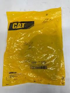 Caterpillar for a Cat