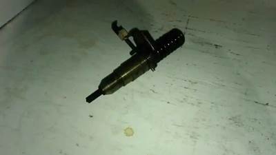 Caterpillar for a Cat