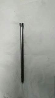 Caterpillar for a Cat